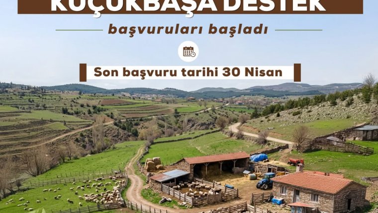 Küçükbaşa Destek Projesi